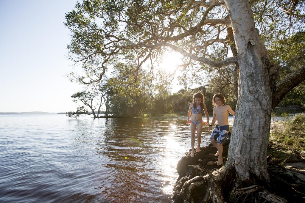 Nrma Myall Shores Holiday Park ブラディーラ エクステリア 写真